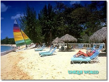 5* Coral Reef Club