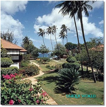 5* Coral Reef Club